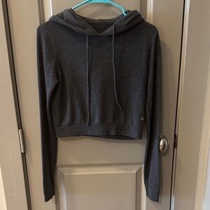 ALO Yoga Charcoal Cropped Hoodie